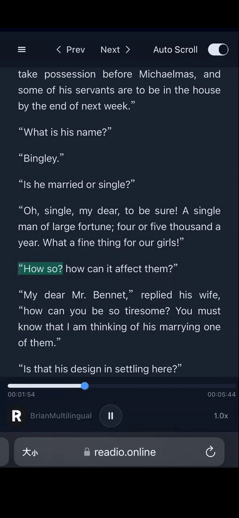 Readio Mobile Epub Reader